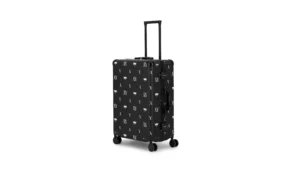 TRAVELING BAG (3)
